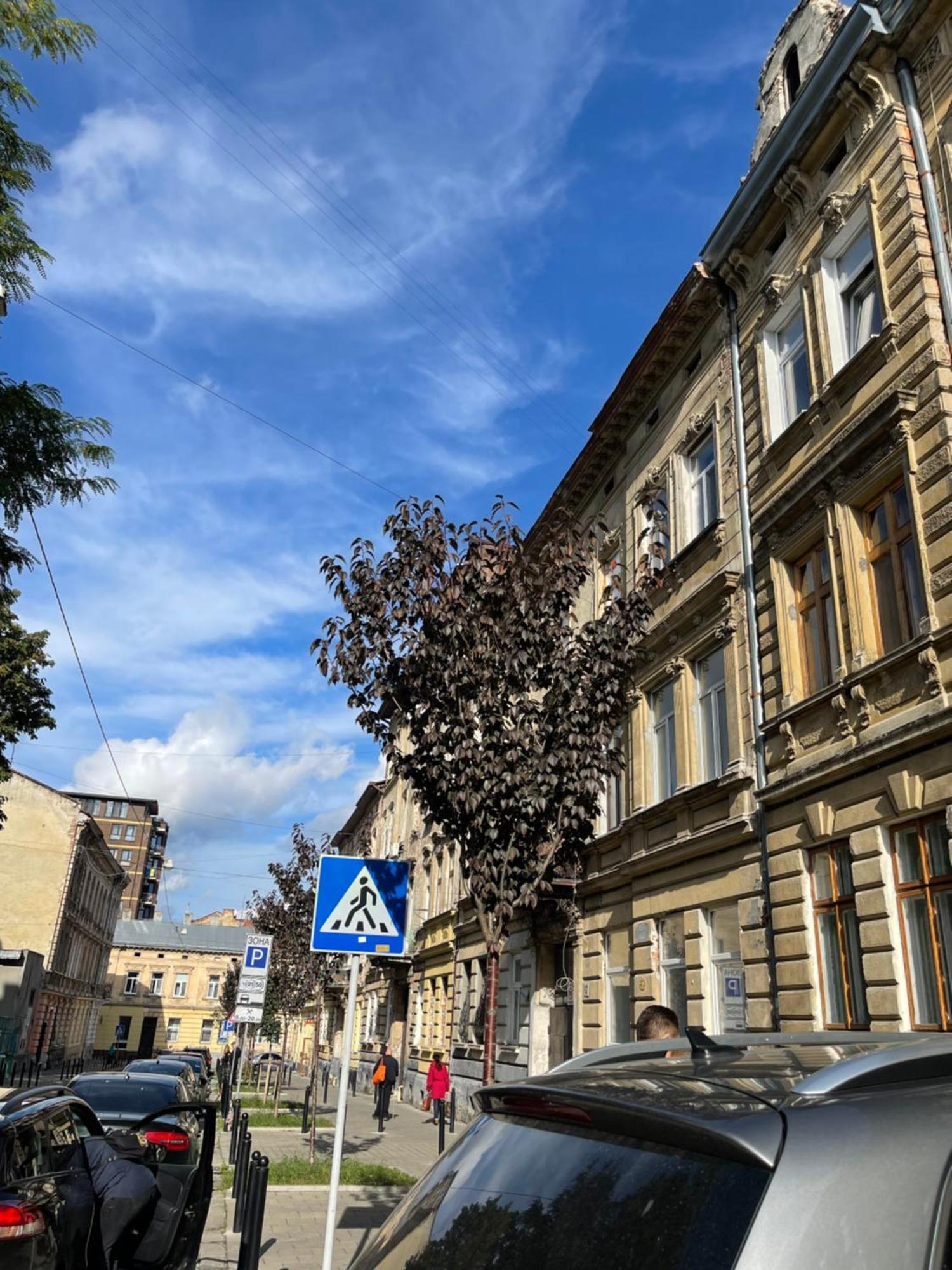 Vintage Apartment Kotlyarska10 Lviv Extérieur photo